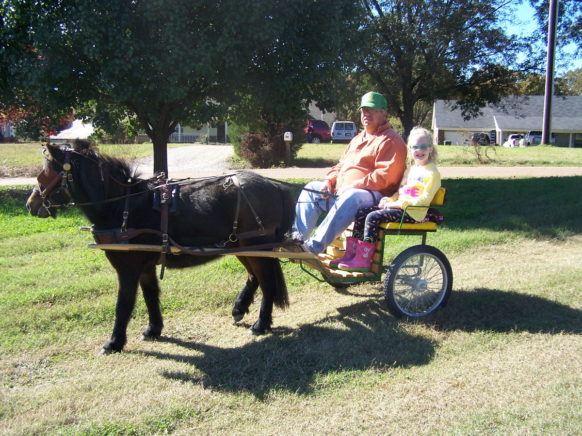 Every Day Carts Mr Mikes Mini Tack Shack