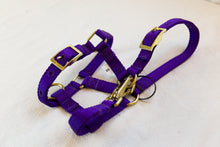 Load image into Gallery viewer, Adjustable Halters with Throat Latch Snap-Brass Plated Hardware