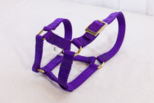 Load image into Gallery viewer, Classic (Regular)Nylon Halters
