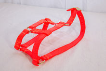 Load image into Gallery viewer, Classic (Regular)Nylon Halters