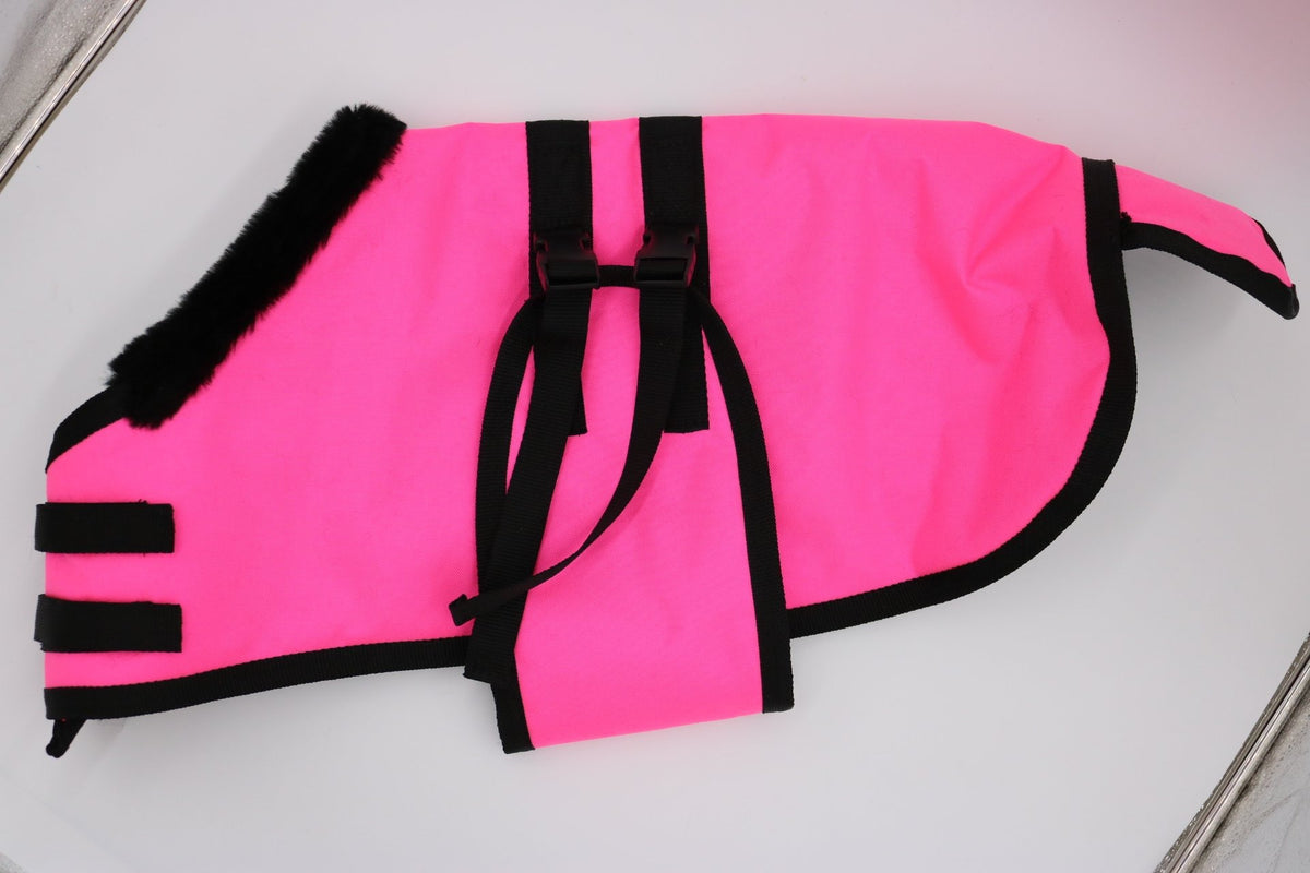 Blanket Winter Foal Mr Mikes Mini Tack Shack