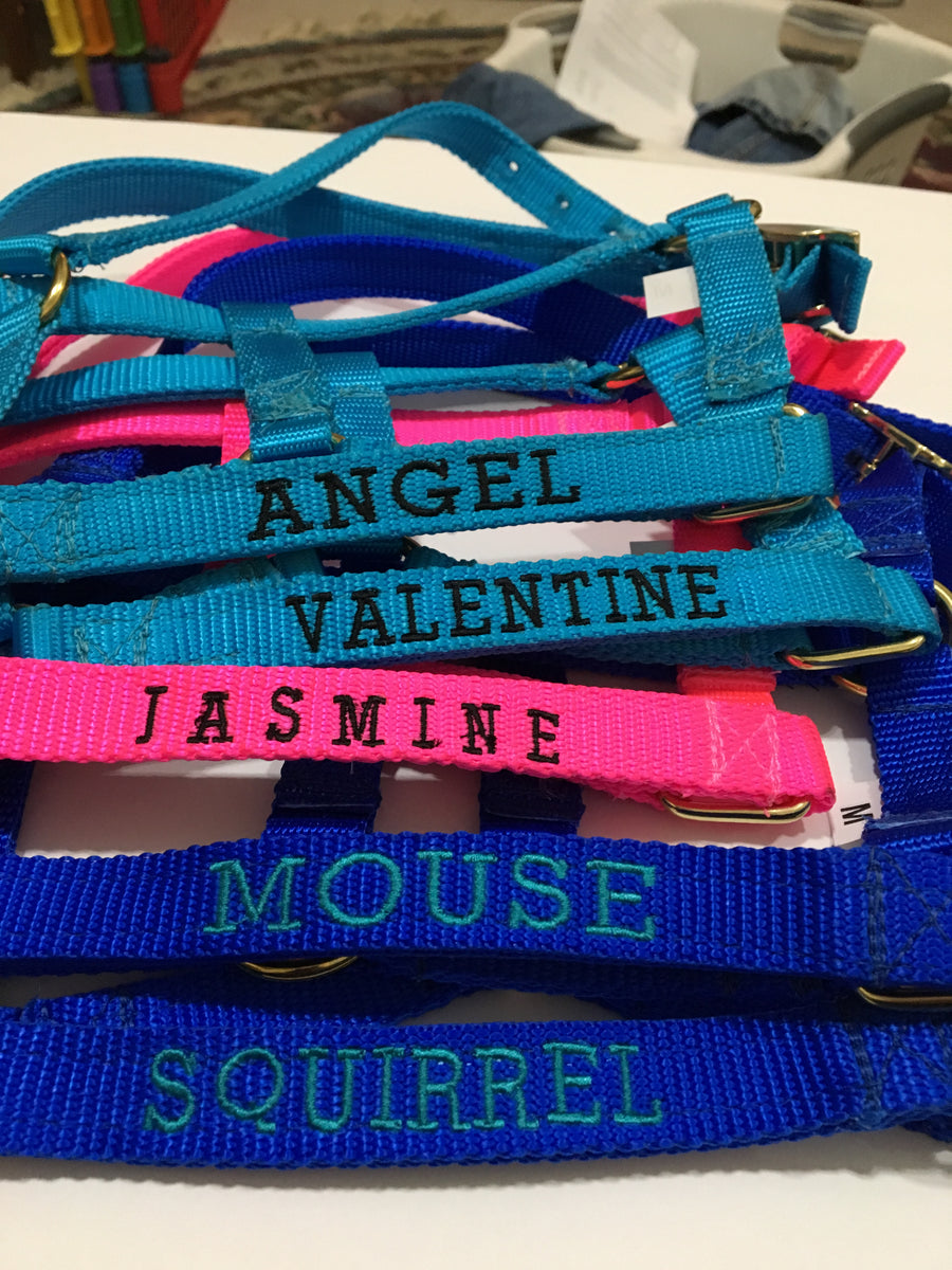 Miniature Horse Halter Collection Page 2 Mr Mikes Mini Tack Shack