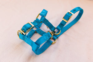 Adjustable Halters with Throat Latch Snap-Brass Plated Hardware
