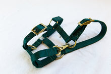 Load image into Gallery viewer, Adjustable Halters with Throat Latch Snap-Brass Plated Hardware