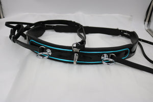 FIRST IMPRESSION LEATHER SHOW HARNESS-TURQUOISE