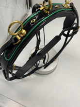 Load image into Gallery viewer, FIRST IMPRESSION LEATHER SHOW HARNESS-GREEN