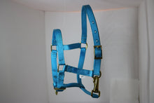 Load image into Gallery viewer, Embroidery Adjustable Nylon Halter